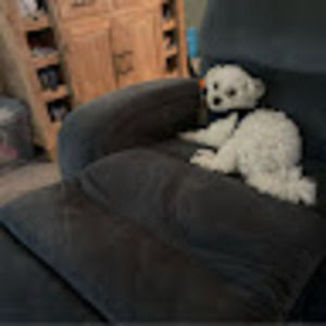 Meet your Posher, Patrick